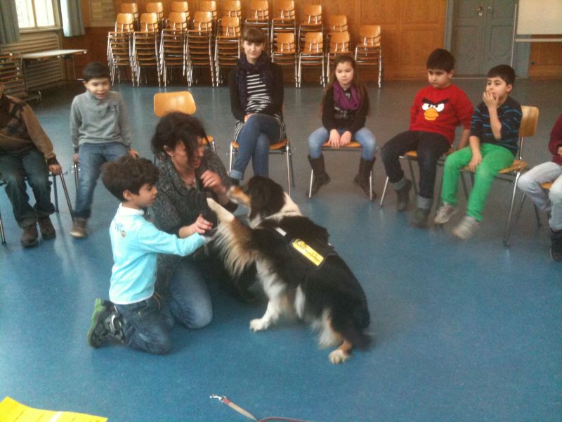 der Schulbesuchshund